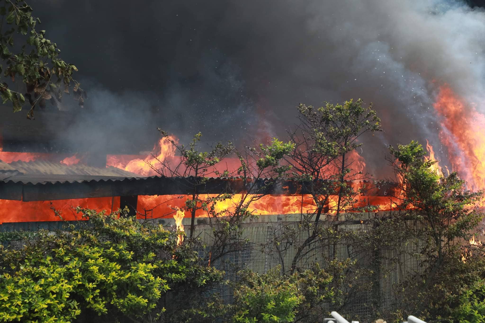 कोशी प्रदेशः तीन महिनामा चार सय ८८ आगलागीका घटना