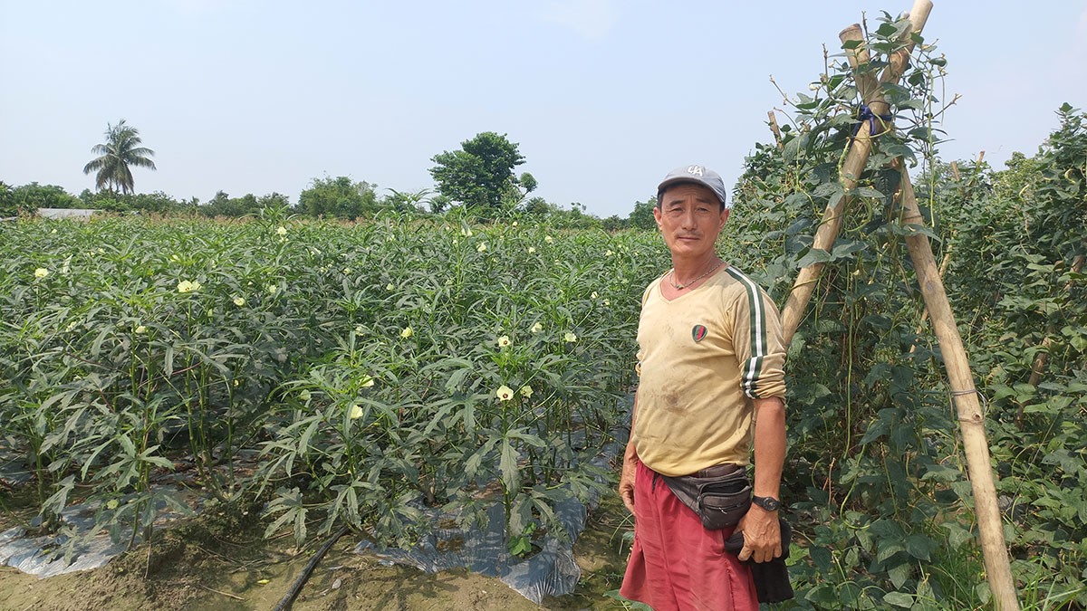 विदेशको कमाइ छाडेर कृषिमा रमाउनुभएका देउकुमार लिम्बु