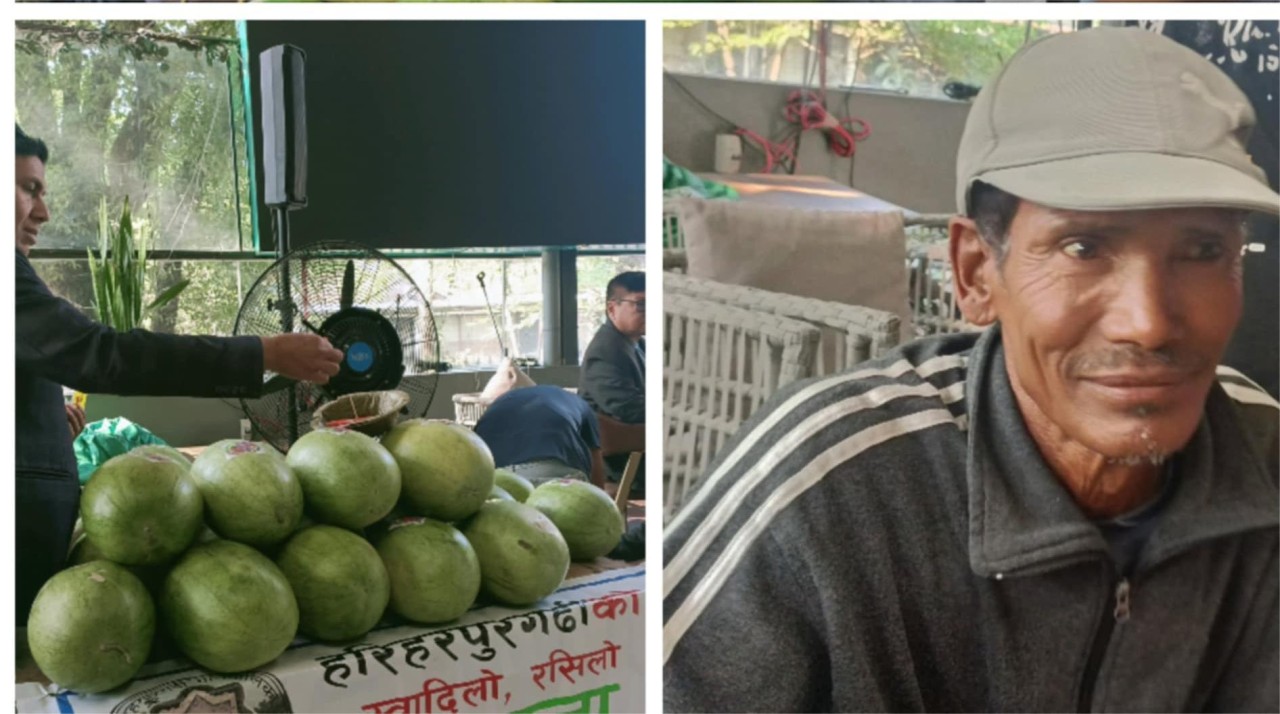 सिन्धुली हरिहरपुरगढीको तरबुजा काठमाडौंको दरबारमार्ग कृषि बजारमा