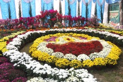 अठारौँ गोदावरी फूलको प्रतियोगितात्मक प्रदर्शनी २०८२ सुरु