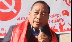 अन्तरिम सरकार निर्माणमा छिटो पहल लिन राष्ट्रपतिलाई सांसद हितबहादुर तामाङको आग्रह