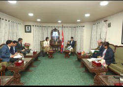 सभामुख अर्यालसँग यूएनडीपी प्रतिनिधिको भेट