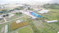 हरिहरपुरगढीको नमुना कृषि खेती : पालिका परिसरमै तरकारीदेखि फलफूल लटरम्म