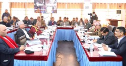 ‘सार्वजनिक लेखा समितिले प्रभावकारी काम गर्न सकेन’