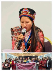 सांसद तथा पूर्व उपसभामुख तामाङद्वारा नेपाली आदिवासी तथा दलित महिलाको अवस्थाबारे संयुुक्त राष्ट्र संघको ध्यानाकर्षण  