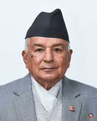 राष्ट्रपतिद्वारा संवैधानिक परिषद्सम्बन्धी अध्यादेश फिर्ता