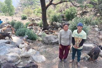 घुम्तीगोठमा बाख्रा पालेर स्वरोजगार र आत्मनिर्भर