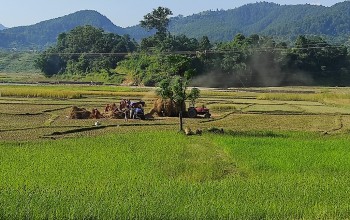 सन्दर्भः विश्व माटो दिवस : बिग्रियो माटो, घट्यो उत्पादन, चिन्तित किसान