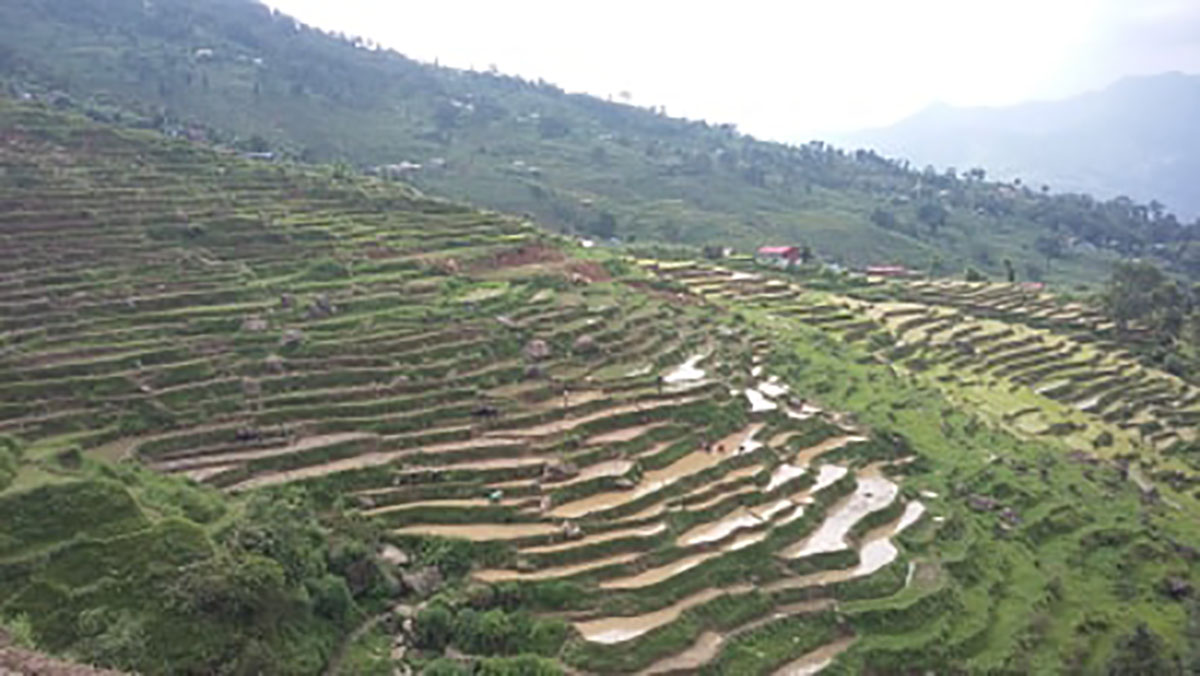 नुवाकोटमा एक हजार छ सय हेक्टरमा सिँचाइ सुविधा