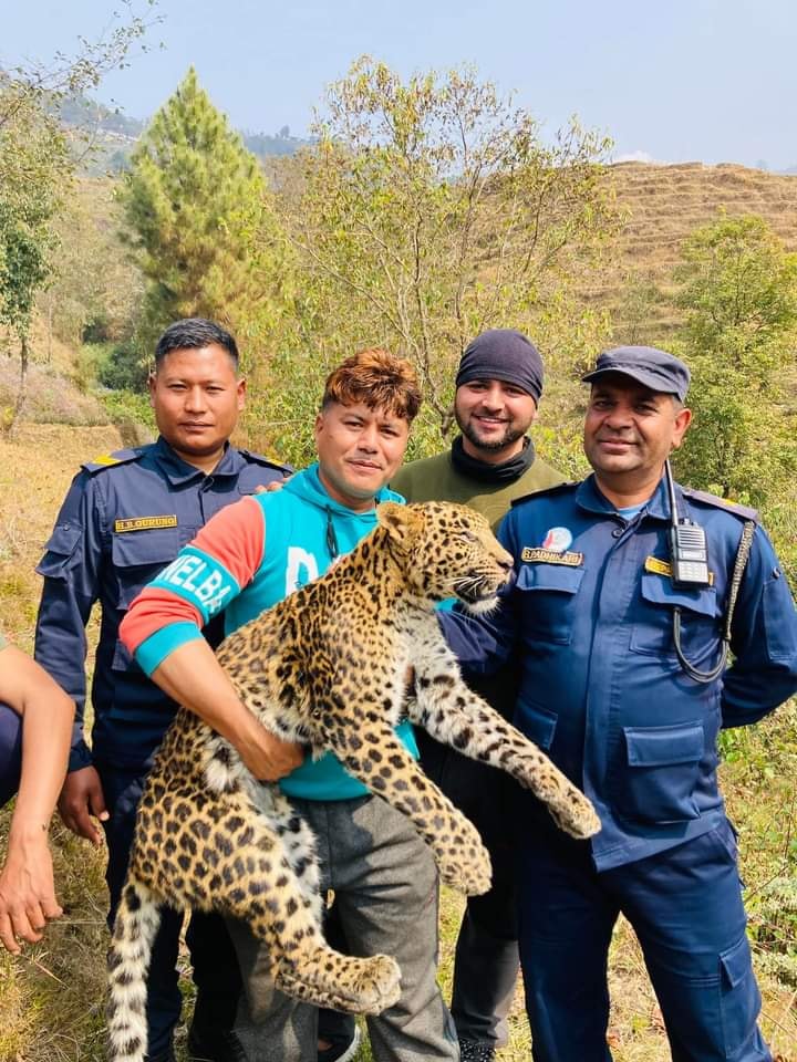 चितुवा बोकेको भाइरल तस्बिरको वास्तविकता